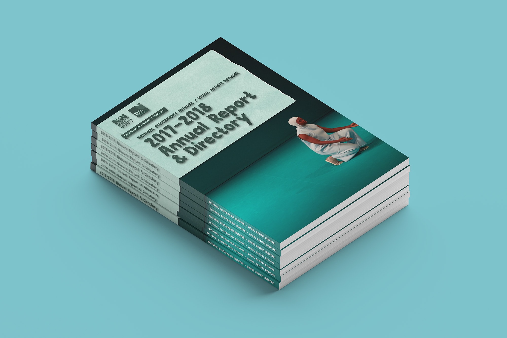 NPN Annual Report 2017